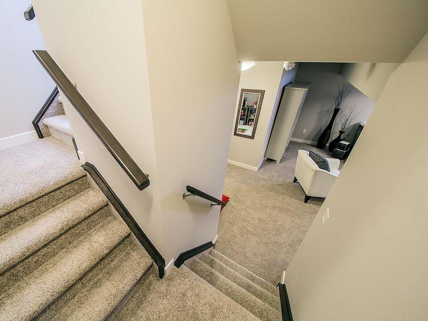 Rental